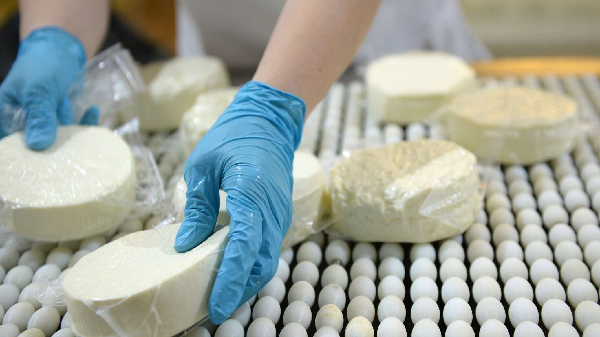 Сыр из Семея признали одним из лучших во Франции