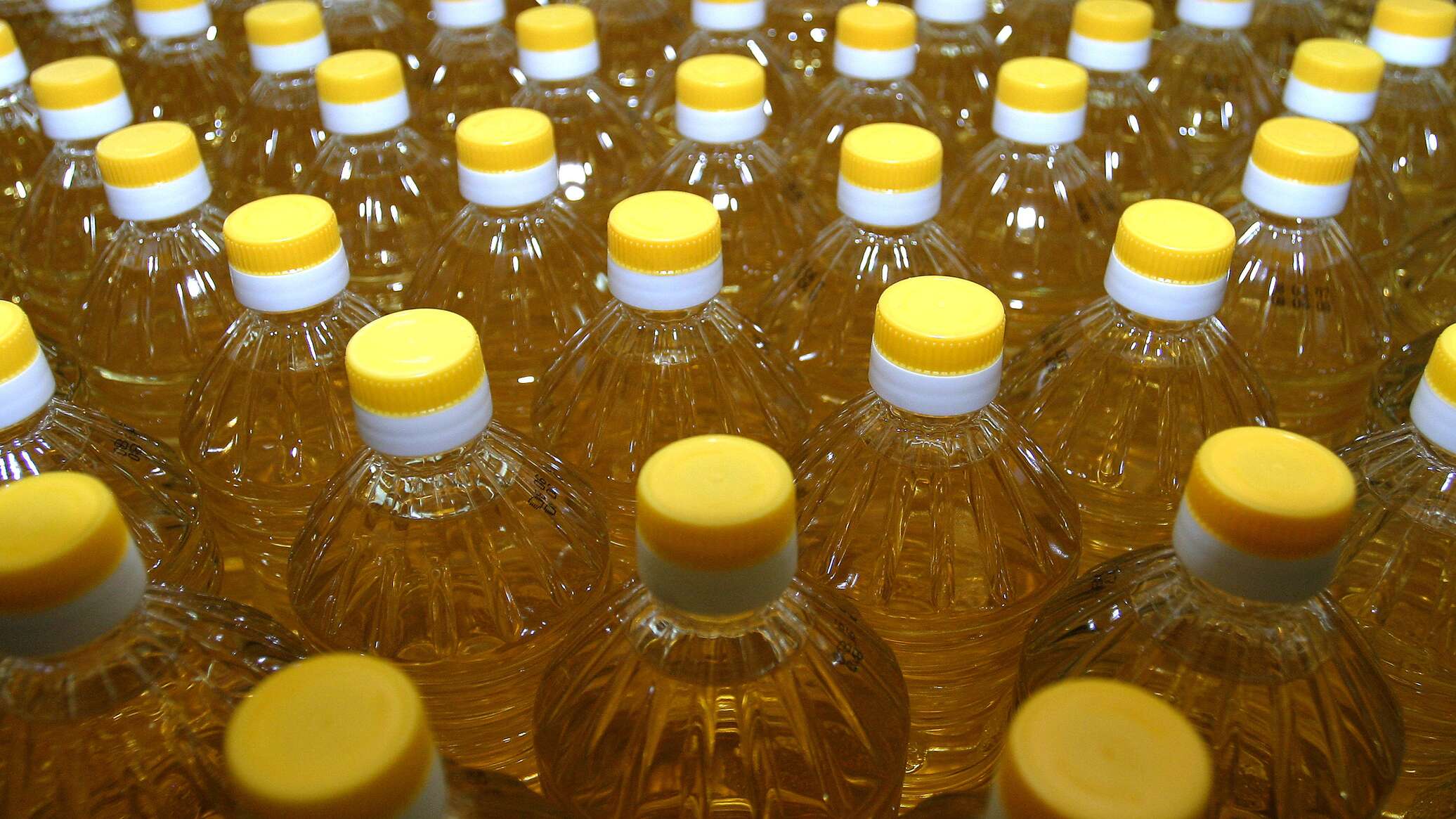 Казахстан наращивает экспорт: за год утроились поставки подсолнечного масла